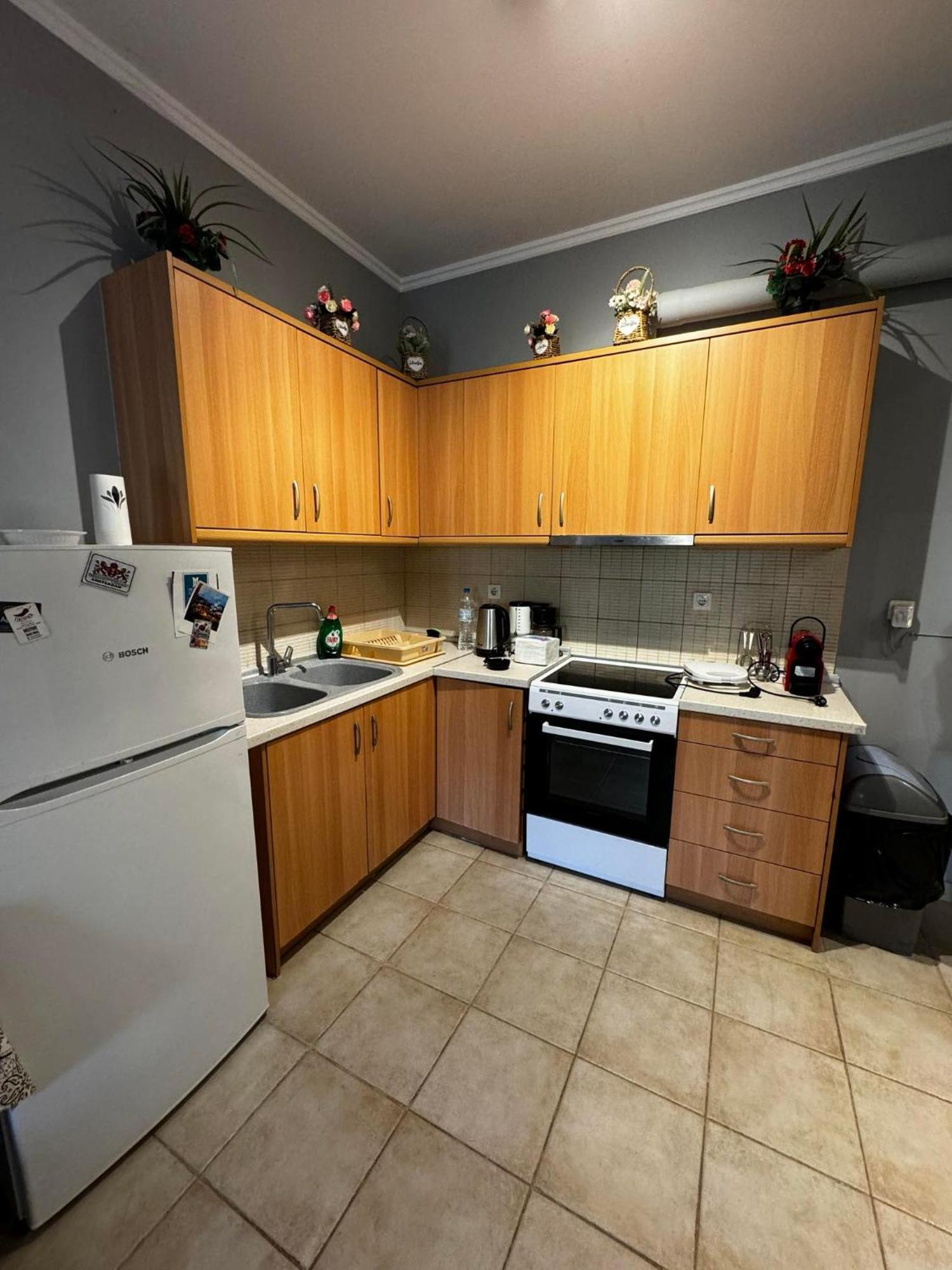 Apartmán Dimitris House Alepou Exteriér fotografie